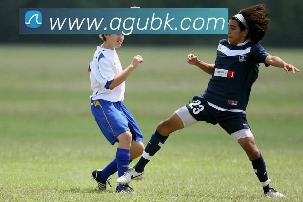 ag官网平台生态图