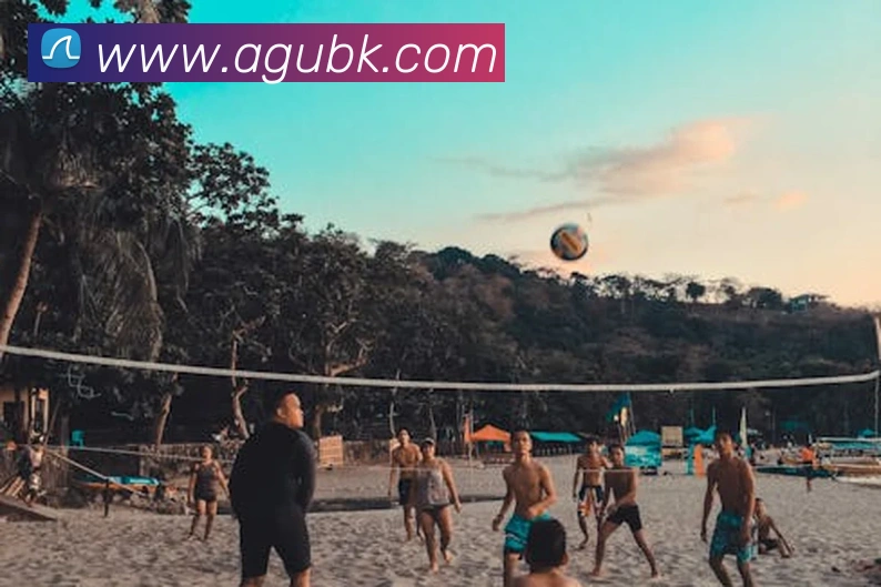 ag官网APP 封面图